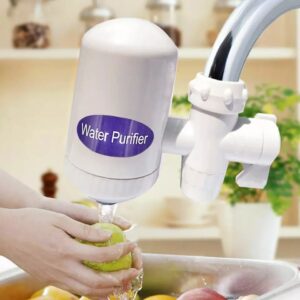 SWS Washable Ceramic Water Purifier